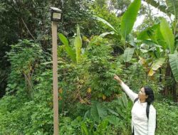 Lampu Solar Cell Terangi Jalan Desa di Seruyan Tengah, Warga Apresiasi Bantuan Kapolres Seruyan