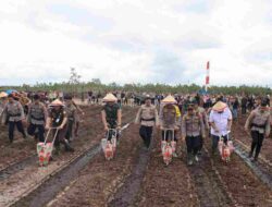 Dukung Asta Cita Presiden, Polda Kalteng Tanam Jagung di Lahan 1.200 Hektare