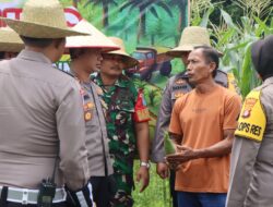 Petani Dusun Hampangen Raya Panen Jagung Bersama Polres Katingan
