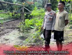 Polsek Hanau Laksanakan Pengecekan Pekarangan Pangan Bergizi di Desa Tanjung Hanau