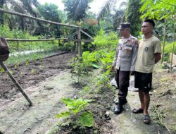 Polsek Hanau Laksanakan Pengecekan Pekarangan Pangan Bergizi di Desa Tanjung Hanau