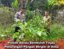 Polsek Danau Sembuluh Tinjau Pekarangan Pangan Bergizi di Desa Bangkal