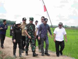 Bupati dan Wakil Bupati Pulang Pisau Hadiri Tanam Padi Perdana di Desa Tahai Baru