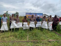 Polres Seruyan Gelar Panen Raya Dukung Ketahanan Pangan Nasional