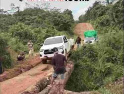 Warga Tumbang Manjul lintasi Jembatan kayu yang sangat berisiko
