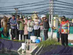 Pemprov Kalteng Kembangkan Shrimp Estate Jadi Bisnis Daerah Unggulan