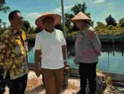 PANEN RAYA JAGUNG SERENTAK, WAKIL WALI KOTA DUKUNG KETAHANAN PANGAN LOKAL