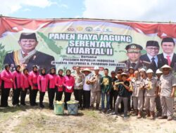 Program Ketahanan Pangan Nasional Kembali Menunjukkan Hasil Nyata