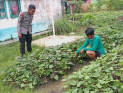 Sinergi Ketahanan Pangan: Bhabinkamtibmas Cek Pekarangan Bergizi Warga di Desa Lanpasa”