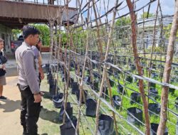 Polsek Hanau Dorong Kemandirian Pangan, Bhabinkamtibmas Tinjau Pekarangan Produktif di Desa Pembuang Hulu I”