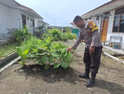 Bhabinkamtibmas Desa Lanpasa Laksanakan Pengecekan Pekarangan Pangan Bergizi untuk Mendukung Program Ketahanan Pangan