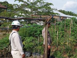Polsek Hanau Lakukan Pengecekan Pekarangan Pangan Bergizi di Desa Derangga