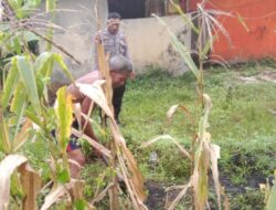 Polsek Danau Sembuluh Laksanakan Program 1 Pekarangan Pangan Bergizi di Desa Bangkal untuk Mendukung Ketahanan Pangan