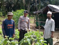 Bhabinkamtibmas Desa Rungau Raya Sambangi Petani, Sosialisasi Program Ketahanan Pangan Nasional
