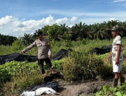 Manfaatkan Lahan Pekarangan, Polsek Hanau Dorong Ketahanan Pangan Mandiri Warga Desa Derangga