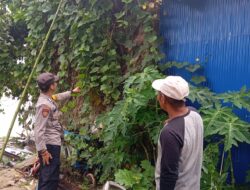 Bhabinkamtibmas Desa Rungau Raya Sambangi Petani, Sosialisasi Program Ketahanan Pangan Nasional