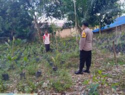 Polsek Danau Sembuluh Lakukan Pengecekan Pekarangan Pangan Bergizi di Desa Telaga Pulang