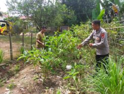 Polsek Danau Sembuluh Laksanakan Program 1 Pengecekan Pekarangan Pangan Bergizi di Desa Bangkal