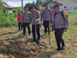 Penanaman Jagung Serentak Kuartal III Digelar di Katingan Hilir, Targetkan 5.000 Bibit