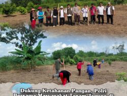 Dukung Ketahanan Pangan, Polri Bersama Masyarakat Tanam Jagung di Desa Halimaung Jaya