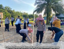 Polsek Hanau Laksanakan Penanaman Jagung Serentak Kuartal III Dukung Swasembada Pangan 2025