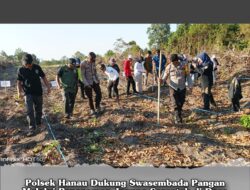 Polsek Hanau Dukung Swasembada Pangan Lewat Penanaman Jagung Serentak di Desa Asam Baru