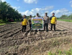 POLSEK DANAU SEMBULUH DUKUNG SWASEMBADA PANGAN MELALUI PENANAMAN JAGUNG DI DESA TABIKU