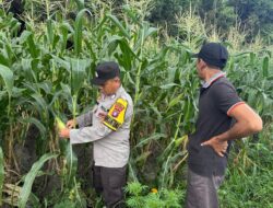 Polsek Hanau Tinjau Pekarangan Pangan Bergizi, Dukung Ketahanan Pangan Mandiri Warga