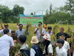 Kolaborasi Lintas Sektor Perkuat Pertanian Palangka Raya