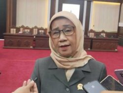 Ketua Komisi II DPRD Kalteng Soroti Anjloknya Harga Cabai, Minta Pemerintah Benahi Tata Niaga Hortikultura