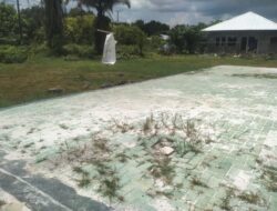 Kualitas Pemavingan SDN 2 Petuk Katimpun Dipertanyakan, Blok Paving Ambles Meski Baru Sebulan