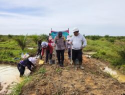 Polsek Hanau Dukung Ketahanan Pangan, Tanam Jagung Tumpang Sari di Lahan Perusahaan