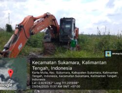 Terbit SPDP, Dugaan Perambahan 100 Hektare Hutan di Sukamara Seret Oknum Kepala Daerah Naik Penyidikan