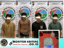 Satresnarkoba Polres Seruyan Berhasil Ringkus Empat Terduga Pengedar Sabu, Sita 66,6 Gram Barang Bukti