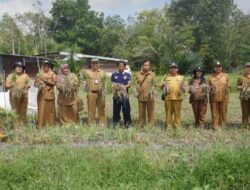 Panen Perdana Bawang Merah di Tangkiling Tunjukkan Dampak Positif Program Pemprov
