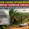 PT AJP Bantah Tudingan Caplok Lahan HTR di Desa Kerabu