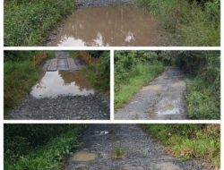 Jalan Kabupaten di Desa Sei Baru Tewu Rusak Parah dan Kerap Terendam, Warga Minta Segera Diaspal