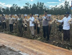Panen Raya Jagung Kuartal II, Gubernur Apresiasi Dukungan Polda Kalteng