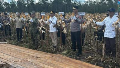 Panen Raya Jagung Kuartal II, Gubernur Apresiasi Dukungan Polda Kalteng