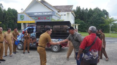 Bupati Pulang Pisau H.Ahmad Rifa’i Apresiasi PT Best Agro Serahkan 7 Ekor Sapi Kurban untuk Masyarakat Jelang Iduladha 1447 H