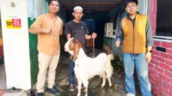 PT ABB Salurkan Hewan Kurban untuk IPJI Kalteng dan FKM, Wujud Kepedulian Sosial Jelang Iduladha