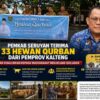 Pemkab Seruyan Terima 33 Hewan Qurban dari Pemprov Kalteng, Disalurkan untuk Masyarakat Menjelang Iduladha
