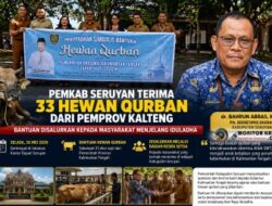 Pemkab Seruyan Terima 33 Hewan Qurban dari Pemprov Kalteng, Disalurkan untuk Masyarakat Menjelang Iduladha