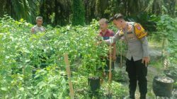 Polsek Hanau Cek Pekarangan Pangan Bergizi Warga untuk Dukung Ketahanan Pangan