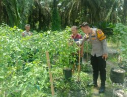 Polsek Hanau Cek Pekarangan Pangan Bergizi Warga untuk Dukung Ketahanan Pangan