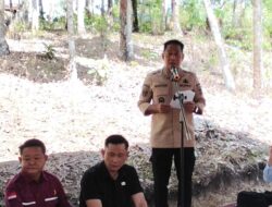 Panen Raya Nila di Puruk Cahu Seberang, Bupati Heriyus Beri Apresiasi