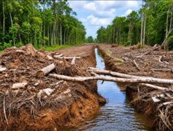 Forom Kalimantan Membangun (FKM) Bongkar Dugaan Kejanggalan Proyek Jalan Rp1 Miliar di Pulau Kaladan PUPR Bungkam
