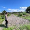 POLSEK HANAU CEK KESIAPAN LAHAN JAGUNG DUKUNG KETAHANAN PANGAN NASIONAL