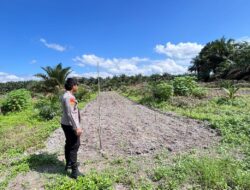 POLSEK HANAU CEK KESIAPAN LAHAN JAGUNG DUKUNG KETAHANAN PANGAN NASIONAL