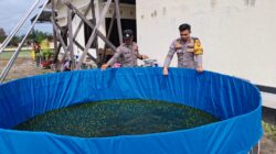 KAPOLSEK HANAU CEK BUDIDAYA IKAN LELE, DUKUNG PROGRAM KETAHANAN PANGAN